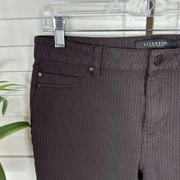 Liverpool Madonna Legging Dark Chocolate Brown Mini Stripe Pull On Pant Size‎ 10 - Picture 5 of 11